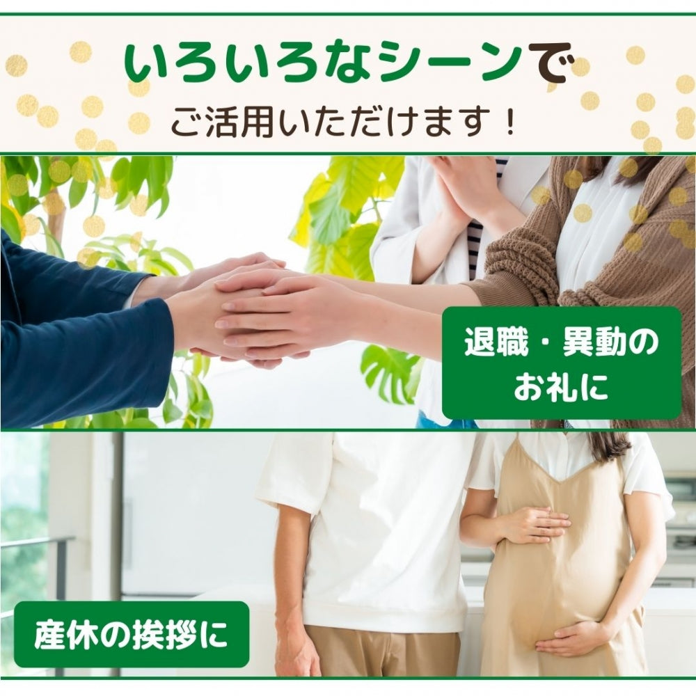 感謝のきもち お菓子 あられ おかき詰め合わせ 銀座餅 8枚入 銀座 花のれん