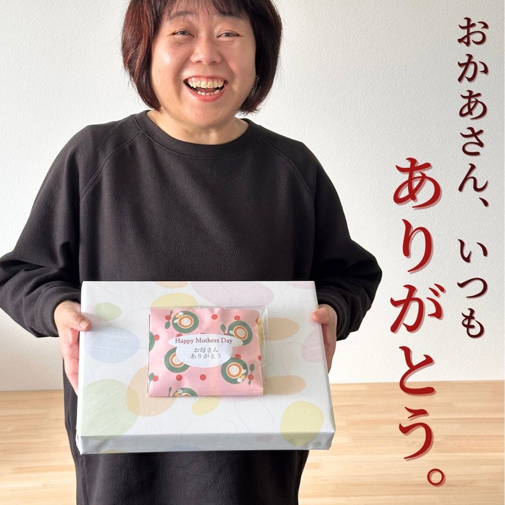 銀座はなのれん 揚げ せんべい しょう油 銀座餅 20個入り + AGFドリップコーヒー×3袋