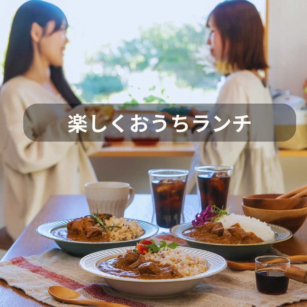 野菜とフルーツで作った 無加水 & 減塩カレー 9食セット