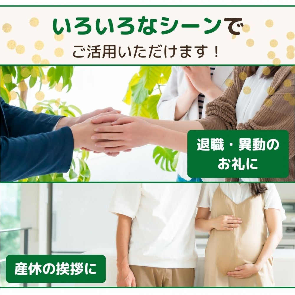 感謝の気持ち 彩集いミニせんべい 8袋入