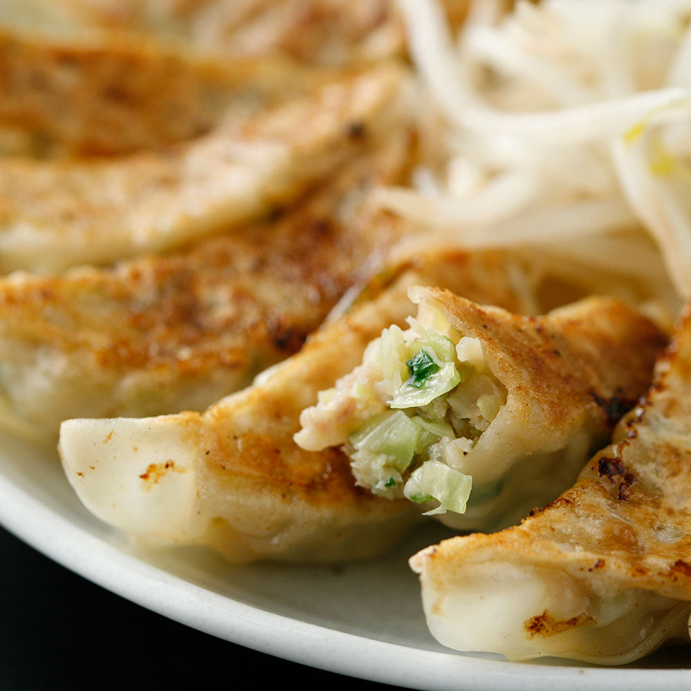 中華惣菜セット 中華惣菜セット 特選 はままつ餃子 45個入り 直送品 KM15001703