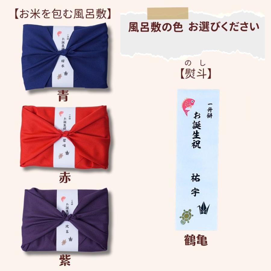 一升餅 を子供の1歳の誕生日に背負う習慣 ベビーリュック 刺しゅう入り 一升米（うるち米）