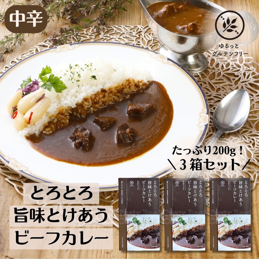 ゆるっと グルテンフリー レトルト カレー200g × 3 食セット