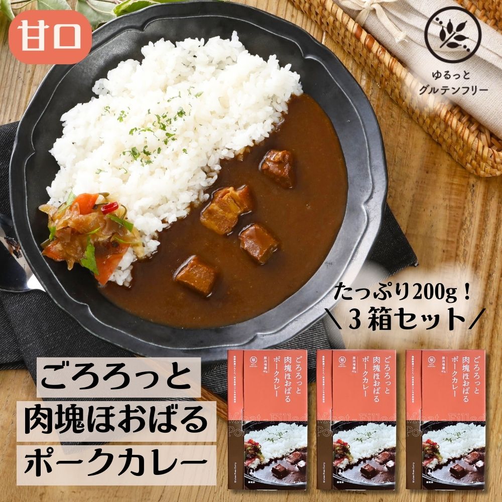 ゆるっと グルテンフリー レトルト カレー200g × 3 食セット