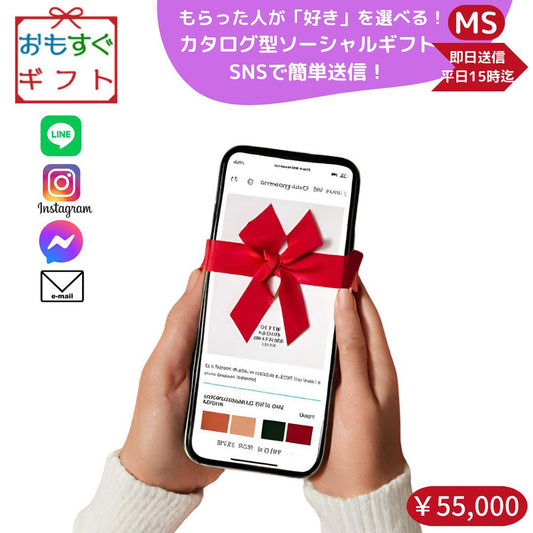 選べる ソーシャルギフト カタログギフト MSコース