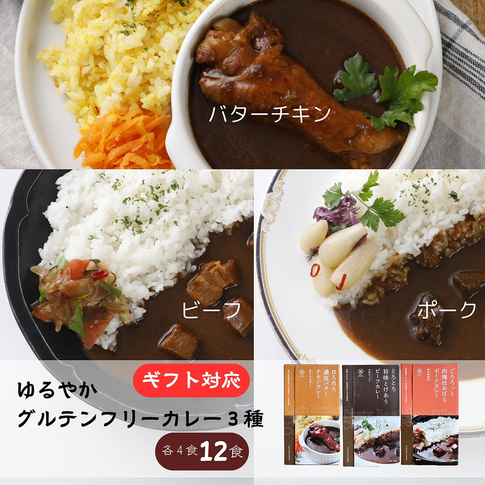 ゆるっと グルテンフリー レトルト カレー 12食セット