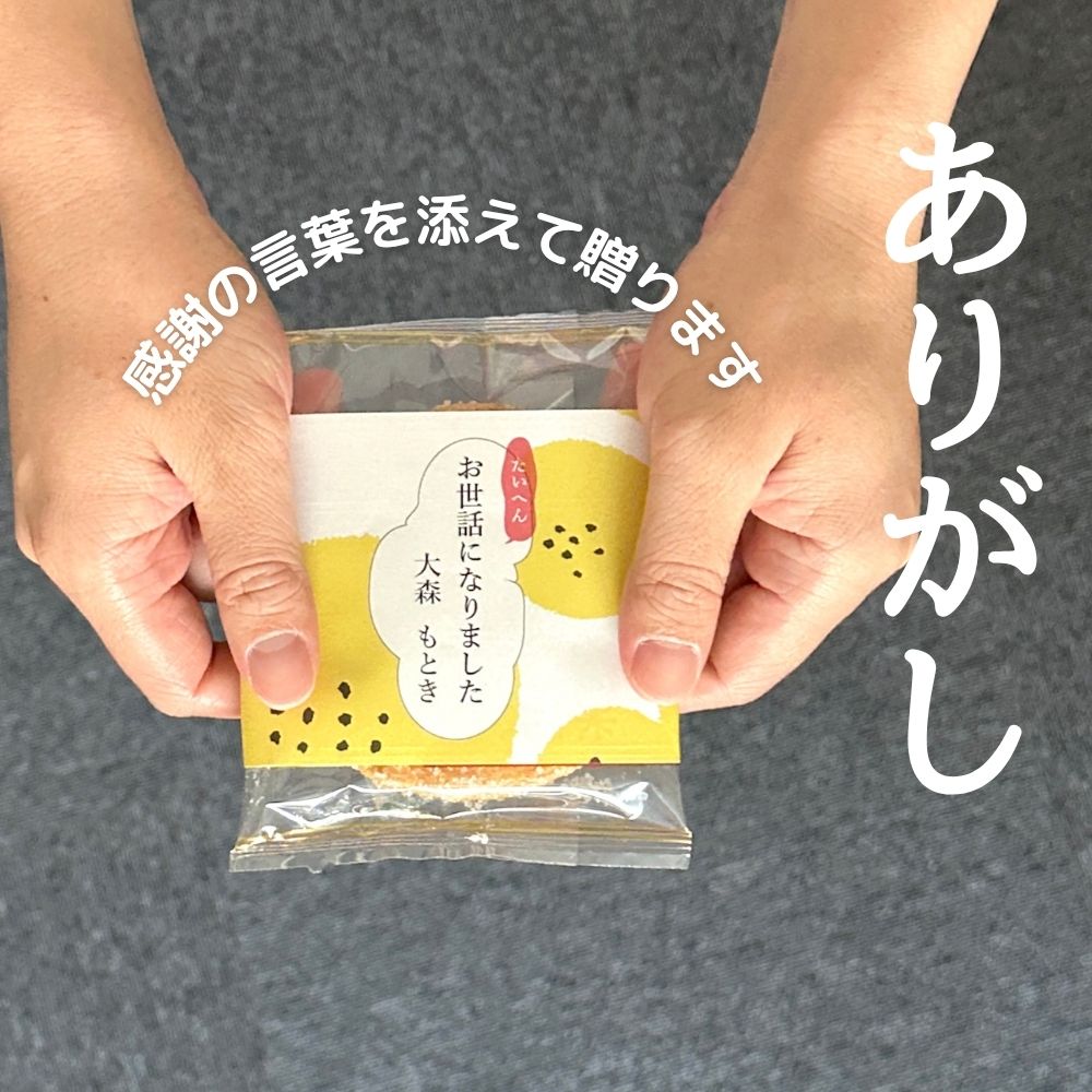 ほんの気持ち  米一代 せんべい 詰合せ 22枚入り