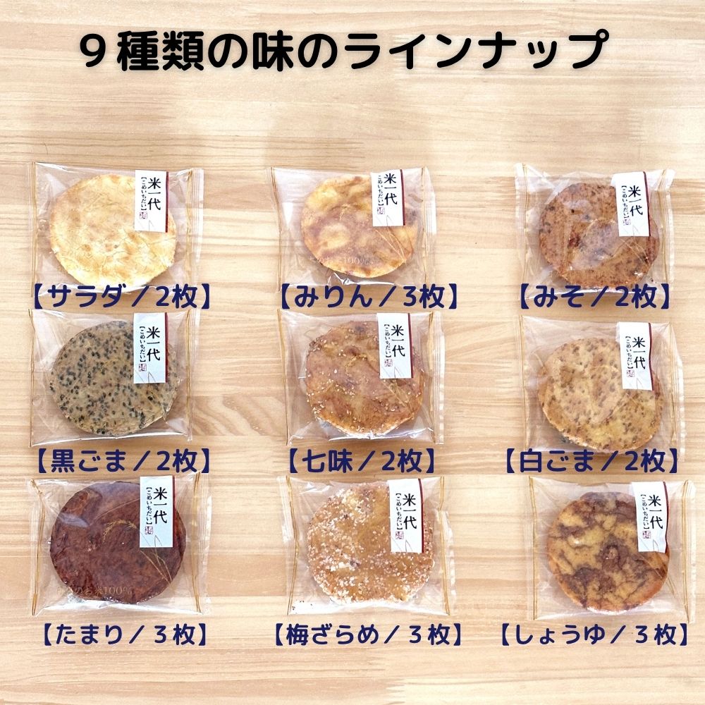 ほんの気持ち  米一代 せんべい 詰合せ 22枚入り