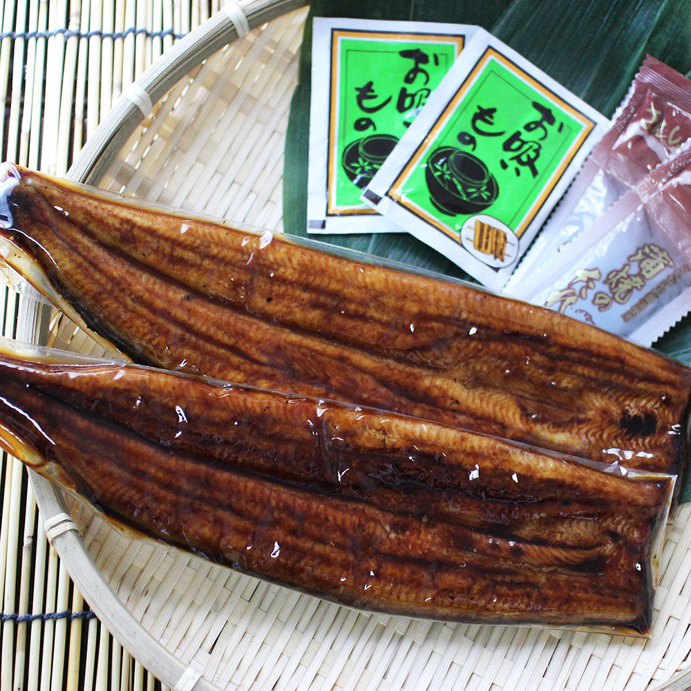 蒲焼き 浜名湖 うなぎ 浜松 蒲焼 2人前 KM15000100