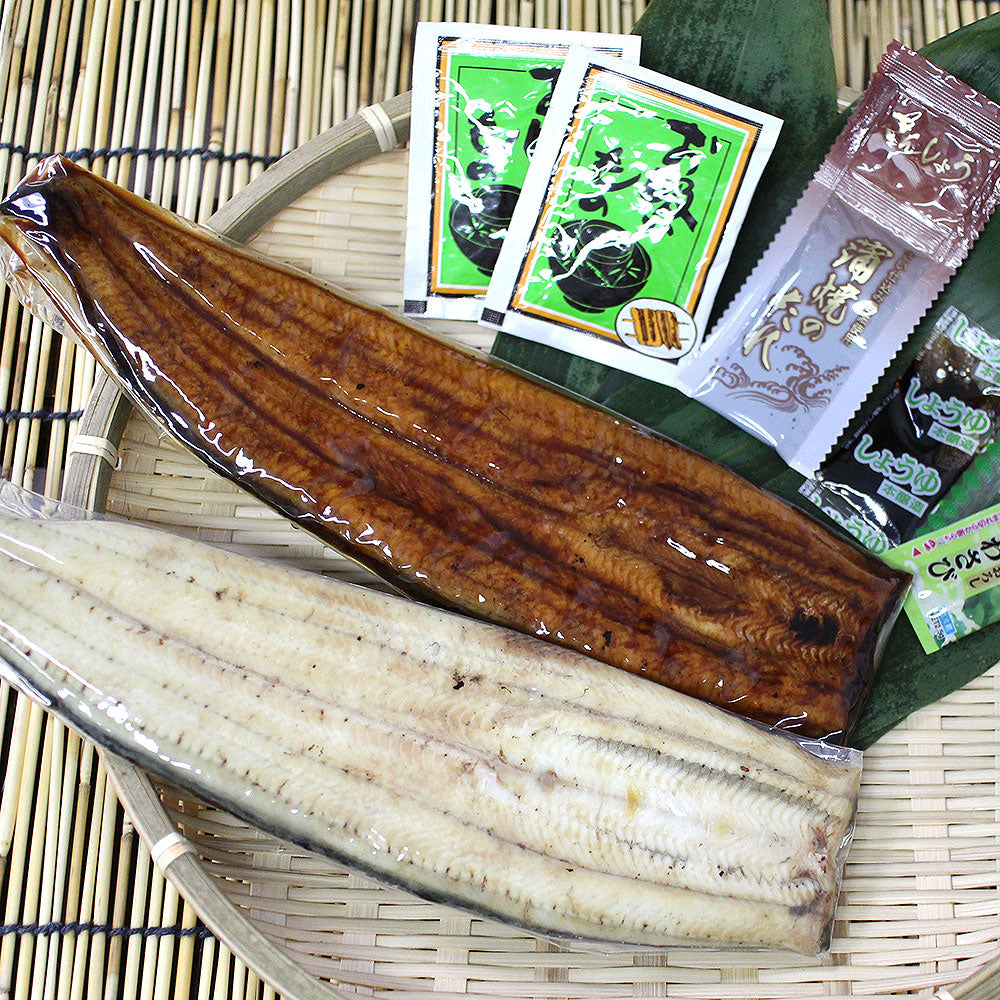 蒲焼き 浜名湖 うなぎ 浜松 蒲焼 白焼 各１人前 KM15000300