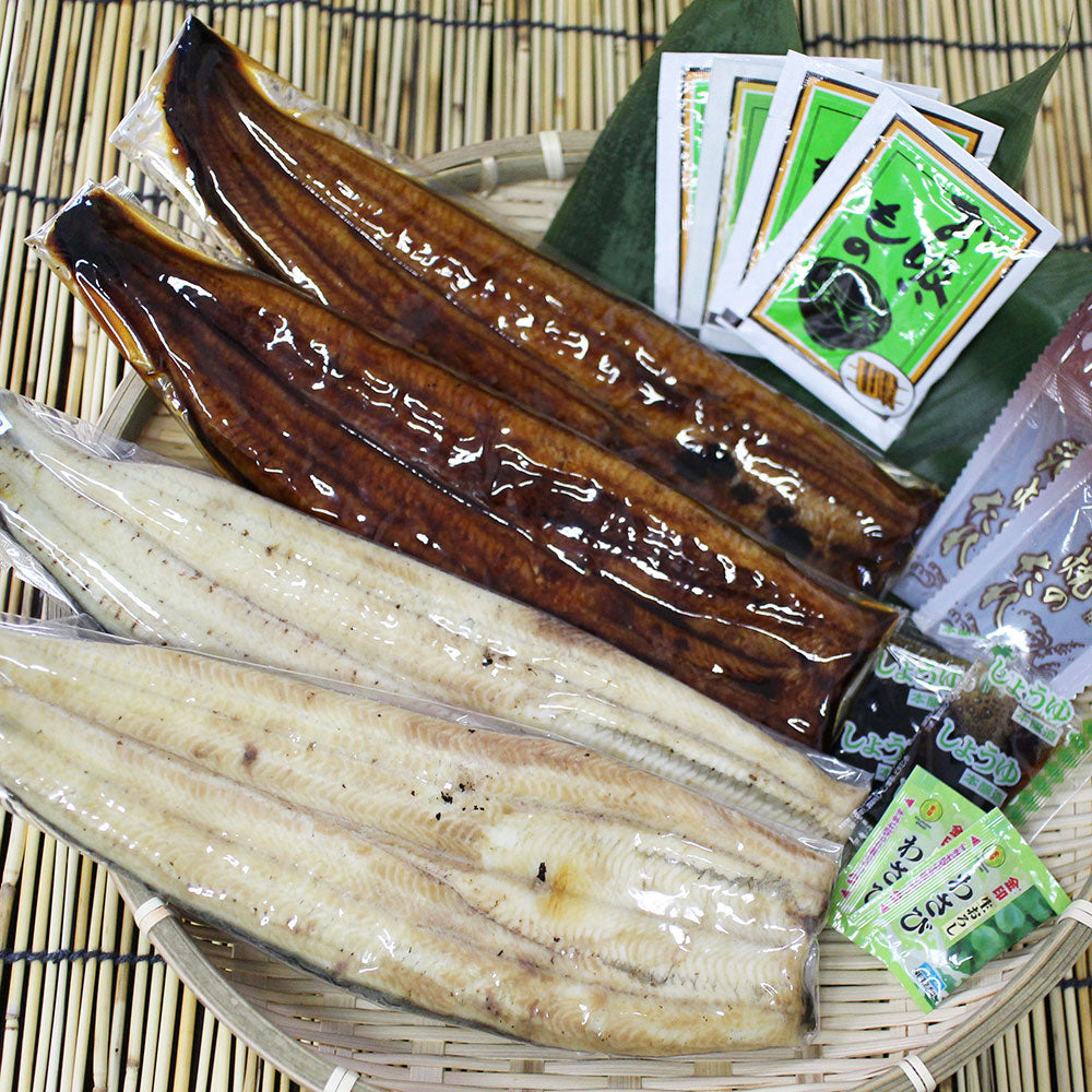 蒲焼き 浜名湖 うなぎ 浜松 蒲焼2人前 白焼2人前 計4人前 KM15000400