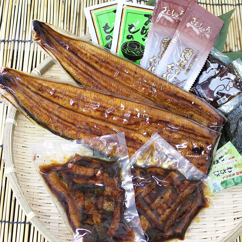 蒲焼き 浜名湖 うなぎ 浜松 蒲焼2人前＆ うなぎ茶漬2人前 4人前 KM15000700