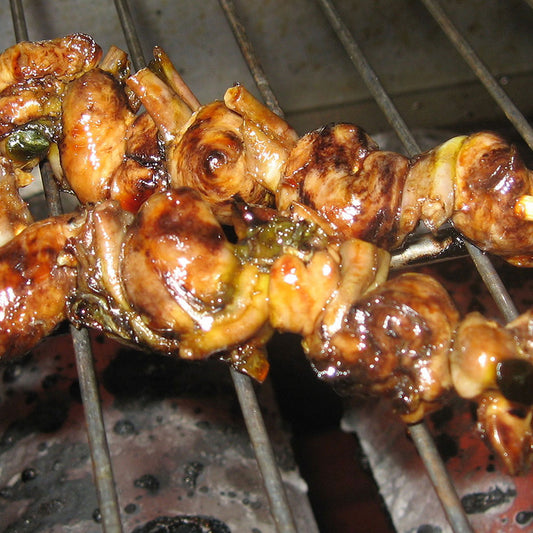 浜名湖 うなぎ 浜松 浜名湖 鰻肝の蒲焼 100g 浜名湖 うなぎ KM16000700