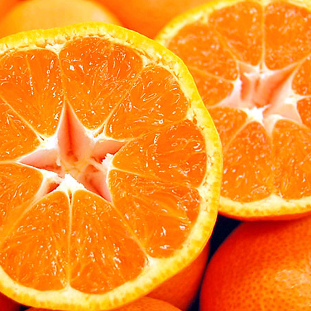 プレミアム 浜松の蜜柑 果汁100％無添加ジュース 直送品 KM16002800