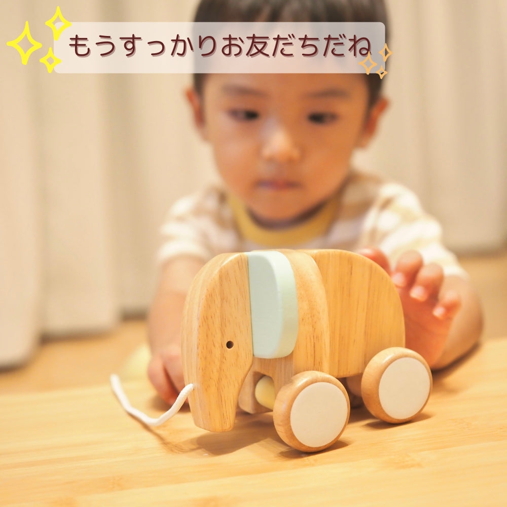 とことこ ぞうのプルトーイTOKOTOKO ZO NO PULL TOY