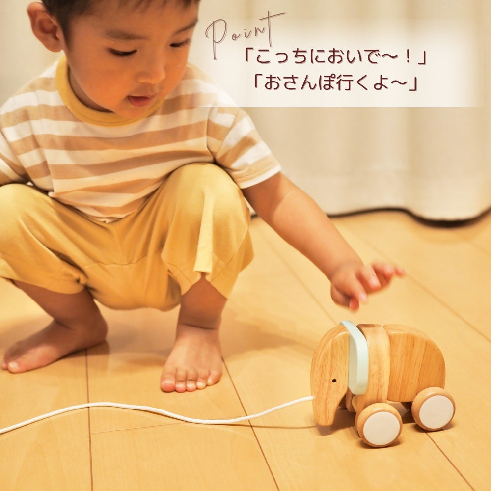 とことこ ぞうのプルトーイTOKOTOKO ZO NO PULL TOY