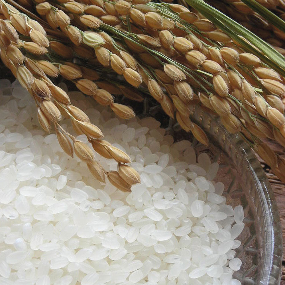 日本のお米セット 日本のお米セット 新潟産こしひかり 3kg 直送品 KM15002502
