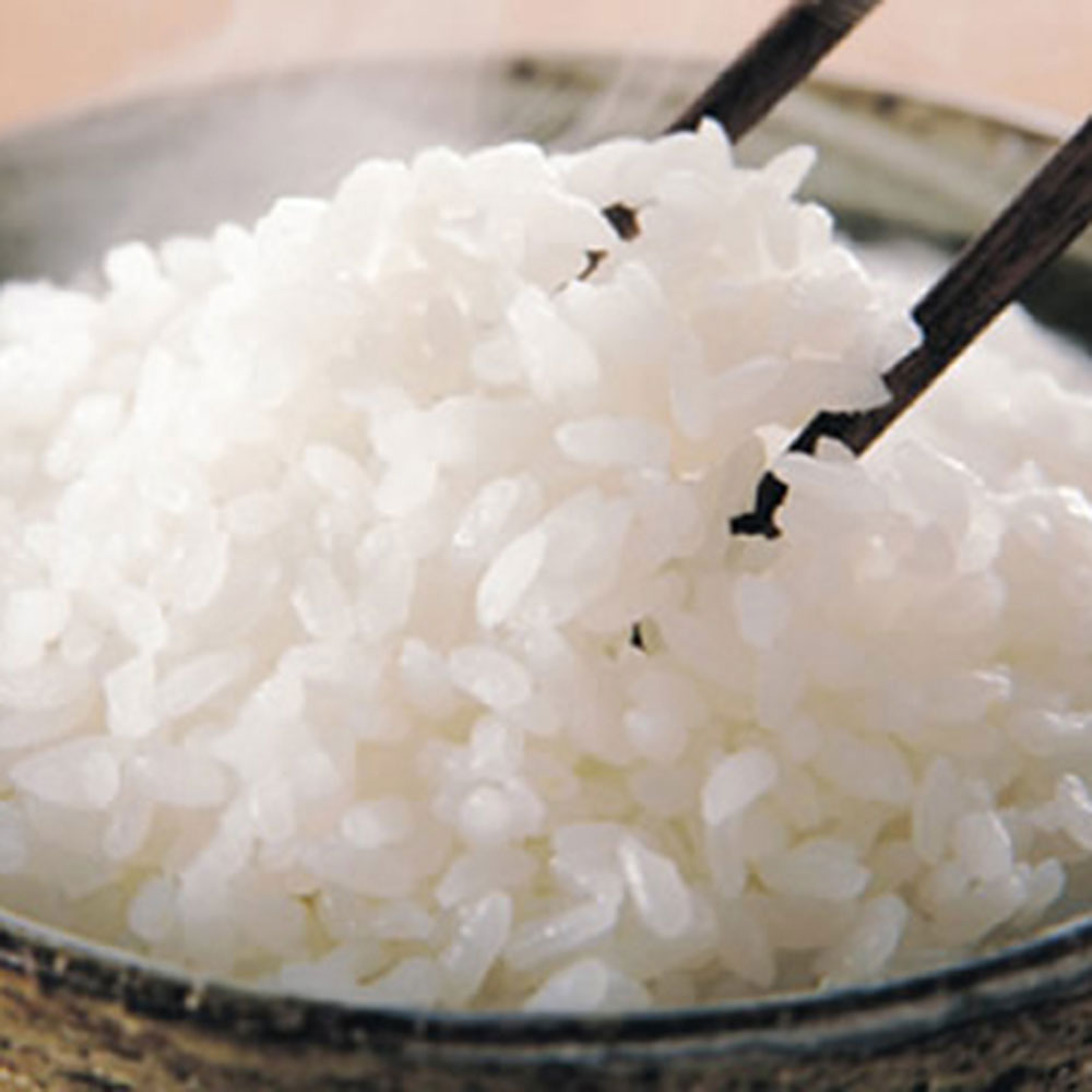 日本のお米セット 日本のお米セット 新潟産こしひかり 5kg 直送品 KM15002503